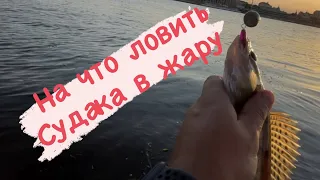 На что ловить судака летом. Топ приманка для ловли в жару!