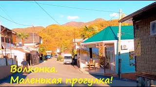 Волконка, прогулка.🌴ЛАЗАРЕВСКОЕ СЕГОДНЯ 🌴СОЧИ.