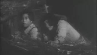 中华女儿(1949)