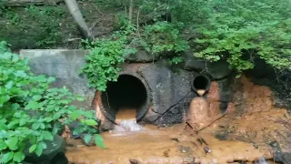 Unclogging Culvert Next To Pond, Walking In Bacteria Covered Culvert