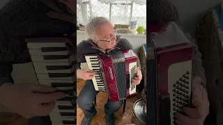 Weltmeister Stella piano accordion, 3/4 accordion, 80 Bass, 34 keys, 3 voices, 5+3 registers