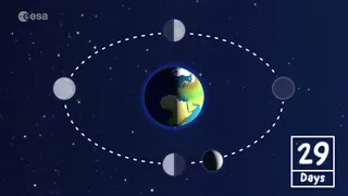 The Moon and it’s phases #fact #solarsystem #moon