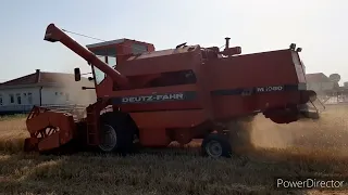 Deutz fahr m1080 žetva pšenice 2022.