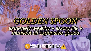 ❗ XT-01 MONEY MAGNET ❗   EXTREME WEALTH & LUXURY LIFE Subliminal Affirmations 💸