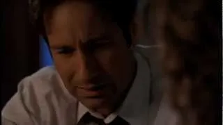 X-Files: Mulder's quest