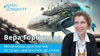 Вера Горбунова: Механизмы долголетия. От голых землекопов до синих китов