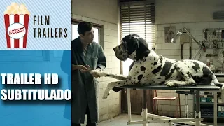 Dogman - Official Trailer HD Subtitulado
