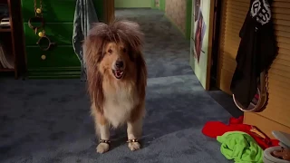 Wayne's World - Garth's dog (All scenes) [Subs español]