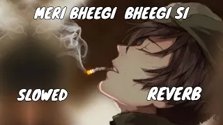 Meri Bheegi Bheegi Si (Slowed And Reverb) | Sad Song | Use Headphone And Feel This Song