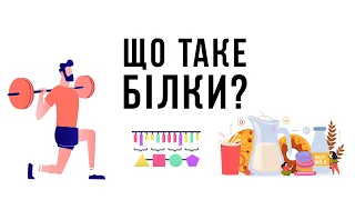 Що таке білки? Функції білків та як білки впливають на організм людини