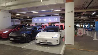 Experiencing Tesla Model 3 EV ride with Dee Auto in Bangkok [2023 June]