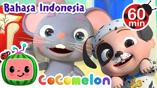 🐭Tikus Kecil dan Gajah🐘 | CoComelon Bahasa Indonesia - Lagu Anak Anak | Spesial Agustus