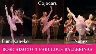 【厳選バレエ】Nuñez 3人のバレリーナ ローズアダジオ| Who is your favorite  ballerina in  Sleeping Beauty Act1 Rose Adagio?