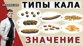 Бристольская шкала формы кала - Расшифровка от гастроэнтеролога. Как выглядит норма, запор, диарея.