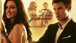 ► Elijah ✘Hayley ║ Bird Set Free