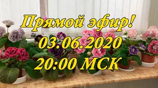 Прямой эфир! Все вопросы эфира в комментариях. Пообщаемся, познакомимся , отвечу на Ваши вопросы.