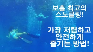 보홀 팡라오 최고 스노클링 포인트 나팔링에서 가장 저렴하고 안전하게 스노클링 즐기는 방법 공개/보홀여행 / 나팔링 정어리 /필리핀 자유여행 / 한일부부 / 국제커플