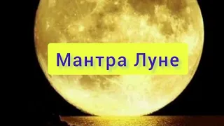 Мантра Луне🌙🌖🌗Ом Намо Бхагаватэ Васудевайя! @DevaPremalMiten