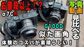 【似た画角で比較】価格差と得られる映像は比例するか？満足度や用途を探る【LUMIX G100D、α7CR】906日