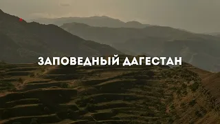 Заповедная школа #РГО в Государственном заповеднике «Дагестанский» #russia #nature #Дагестан