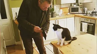 When your cat and your man are in sync - Funny Cat and Human 😂