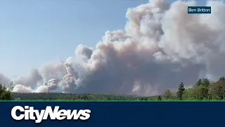 Escaping the fast-moving Halifax wildfire