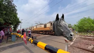 Dangerous Angry Mad Horse Headed Bikaner Superfast Express Furious Passing Throughout Railgate