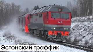 Moglino, Novoizborsk - Livamäe. Trains on the Pskov - Pechory railway. Winter footage