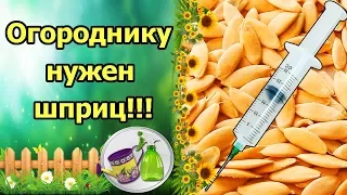 ГЕНИАЛЬНОЕ ОТКРЫТИЕ! ШПРИЦ ДЛЯ ПОДГОТОВКИ СЕМЯН! ЗАМАЧИВАНИЕ, ОБРАБОТКА СЕМЯН В ШПРИЦЕ!