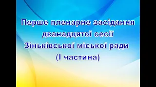 Перше пленарне засідання дванадцятої сесії Зіньківської міської ради (І частина)