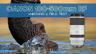 Unboxing my new Canon 100-500mm RF lens and testing it for wildlife photography