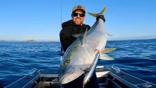 Crayfish CATCH AND COOK + Biggest kingfish I’ve ever caught!