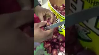 Extreme Drug Smuggling - Inside Onions