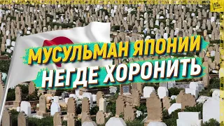 В Японии мусульман будут хоронить или кремировать? [English subtitles]