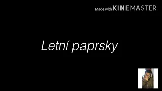 Elmo - Letní paprsky 2 [ #lyrics video PatrikRap ] text
