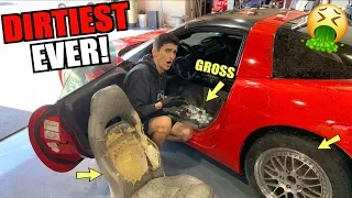 Cleaning The DIRTIEST Corvette EVER! Making My $2200 High Mile C5 LOOK NEW!