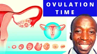 OVULATION CALENDAR I Calculating ovulation : Getting pregnant [ WHEN DOES OVULATION HAPPEN ].