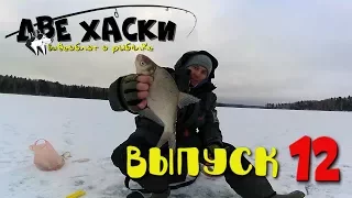 УРА! ЛЕД! Зимняя рыбалка на Рузском водохранилище. Ловим подлещика!
