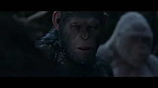 I Did Not Start This War  Scene   War for the Planet of the Apes 2017   YouTube