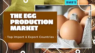 EGG TOP IMPORT & EXPORT COUNTRIES WORLDWIDE [EGG BUSINESS IN INTERNATIONAL MARKET]