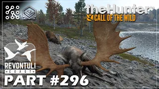 Kde jsem lovil DIA losa na Revontuli? #296 | The Hunter: Call of the wild  |  Česky
