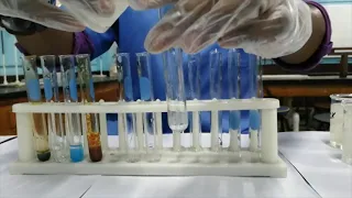 Identification of Cations with NaOH ₍aq₎