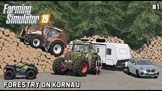 Winching huge logs with @TheCamPeRYT | Forestry On Kornau | Farming Simulator 19 | Episode 1