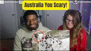 AMERICANS REACT TO Discover the 17 Scariest Animals in Australia!