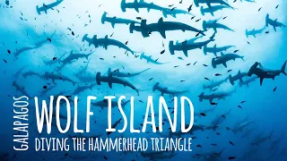 Scuba Diving with HUGE Hammerhead Schools and Whale Sharks at Wolf Island, Galapagos - 4K