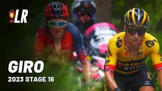 Huge GC Battle on Monte Bondone | Giro d'Italia 2023 Stage 16 | Lanterne Rouge Cycling Podcast