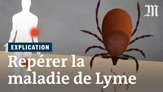 Maladie de Lyme : comment la repérer ?