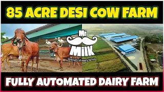 Amazing 85 Acre Modern Desi Cow Farm in India: A Look at Mr.Milk's High-Tech Dairy Operation