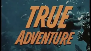 "TREASURE OF THE YUCATAN"  TRUE ADVENTURE TV SHOW EPISODE   DIVING FOR SPANISH GOLD   XD51664b