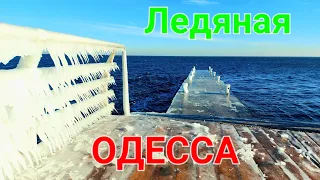 Одесса обледенение. Набережная Ланжерон. Аркадия. Отрада моржи. Море замерзло. Дельфинарий. #зоотроп